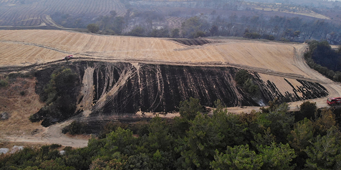 Çanakkale'de orman yangını! 81 vatandaş etkilendi 72 kişinin tedavisi sürüyor
