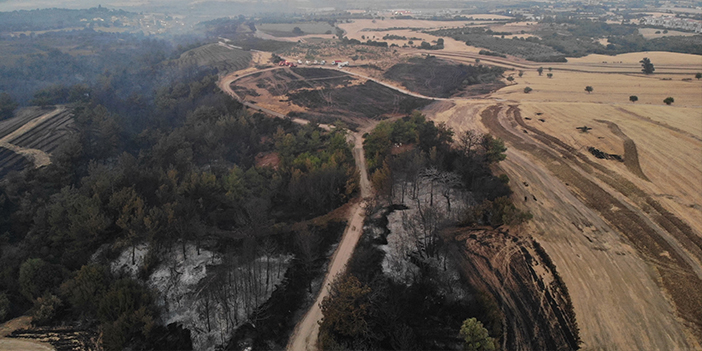 Çanakkale'de orman yangını! 81 vatandaş etkilendi 72 kişinin tedavisi sürüyor
