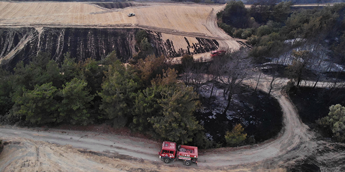 Çanakkale'de orman yangını! 81 vatandaş etkilendi 72 kişinin tedavisi sürüyor