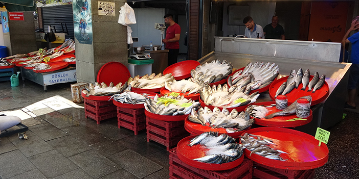 Trabzon'da balıkçı esnafını endişe kapladı