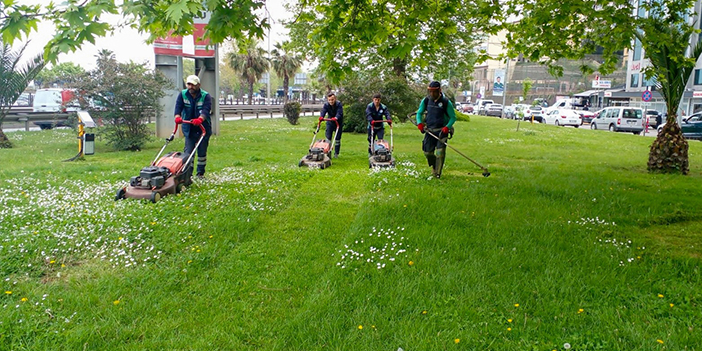 Trabzon'da 804 bin adet çiçek dikildi
