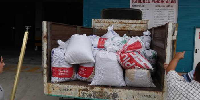 Trabzon'da TMO fındık alımları başladı