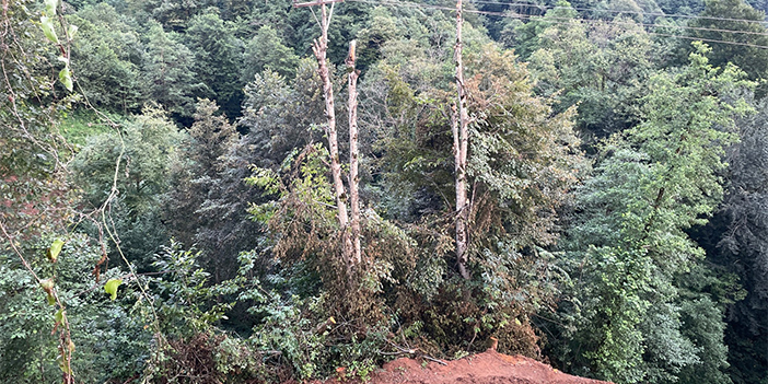 Rize'de 39 konut boşaltıldı! Hasar tespit çalışmaları sürüyor