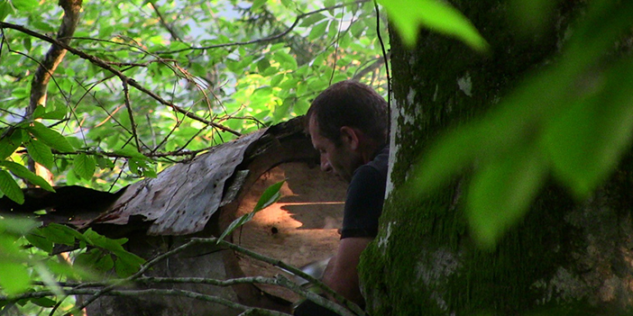 Macahel balı Anzer Balı'na rakip oluyor