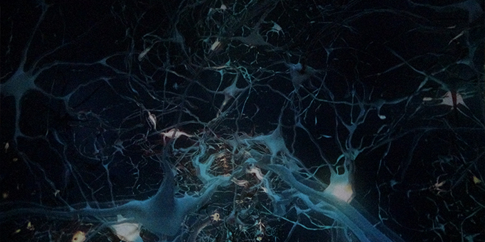 Trabzon'da Bilim Merkezi açılış için gün sayıyor 