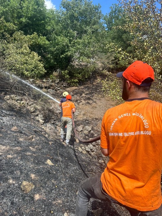 gumushanede-yangin-panigi-bir-gun-arayla-2-koyde-yangin-002.jpg