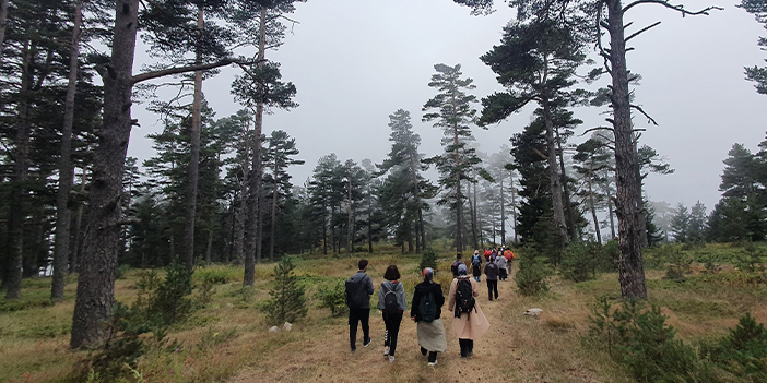 Gümüşhane'de doğa severler hem yürüdü hem likarpa topladı