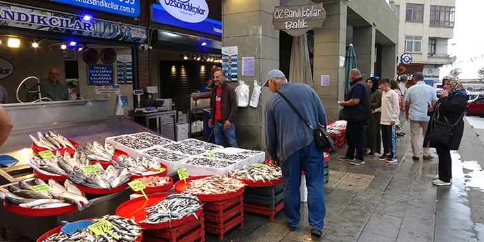 Trabzon’un balığı Batı Karadeniz’den