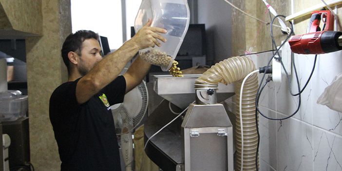 Trabzon'da fındık hasadı tamamlandı! Sıra kavrulmasında 