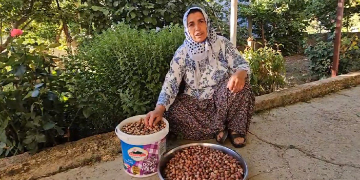 Trabzon'dan götürdüğü fidan ile fındık üretimine başladı