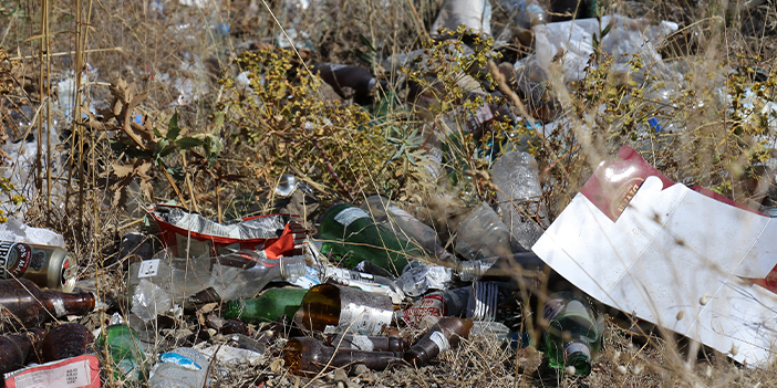 Gümüşhane’de Dünya Temizlik Gününde çevre temizliği yapıldı