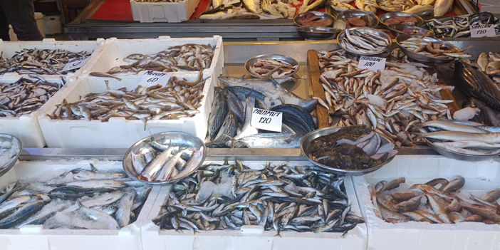 Giresun'da istavrit tezgahlarda yerini aldı! İstavritin kilosu ne kadar? 