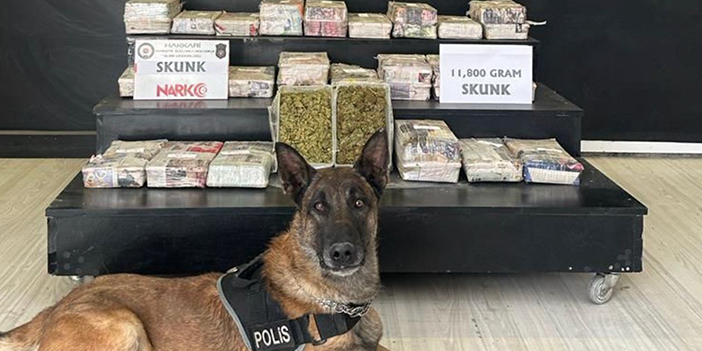 Giresun dahil 16 ilde uyuşturucu operasyonu! 99 şüpheli yakalandı