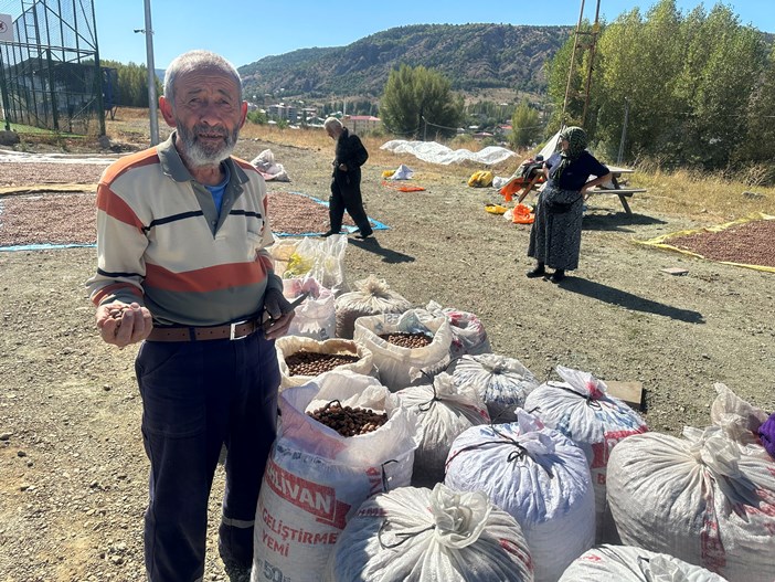 giresunda-findik-ureticileri-findik-yetismeyen-ilceyi-tercih-ediyor-003.jpg