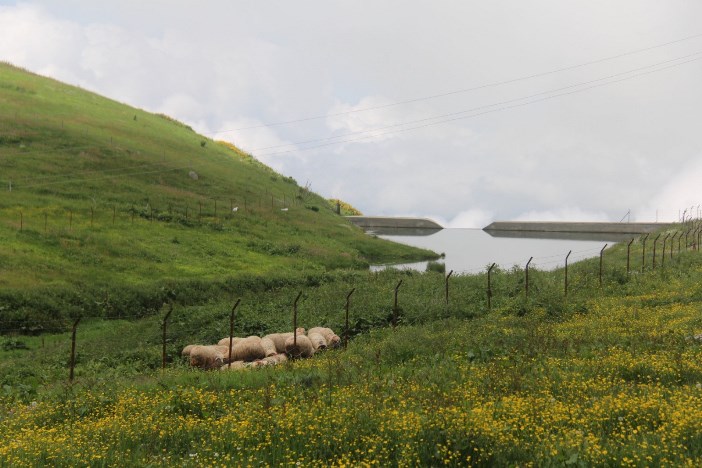 trabzonda-yaylalarin-iklimleri-yumusadi-iste-nedeni-001.jpg