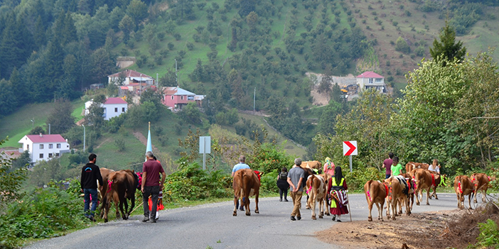 Doğu Karadeniz'de yayladan dönüş başladı