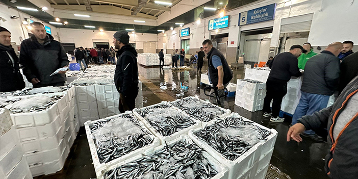 Samsun'da kasalar dolusu hamsi kapış kapış satıldı