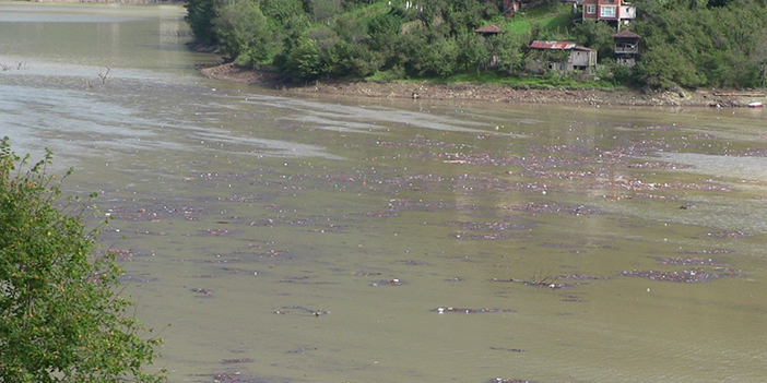 Artvin’de sel suları gölü çöplüğe döndürdü