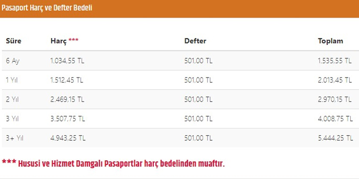 Pasaport ücretleri ne kadar? Yeni yılda zam gelecek mi?