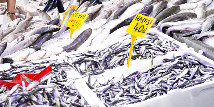 Samsun'da hamsi fiyatı sezonun en düşük seviyesinde