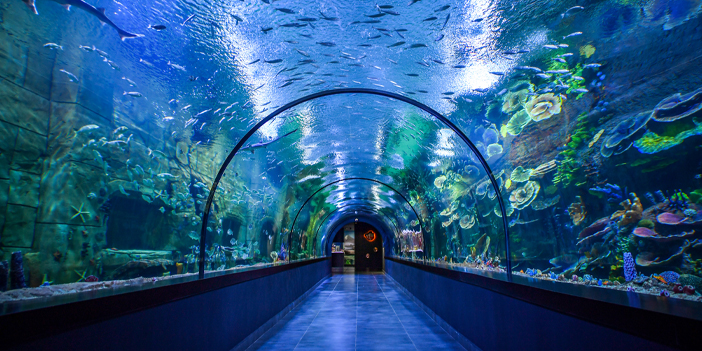 tunel-akvaryum-1.jpg