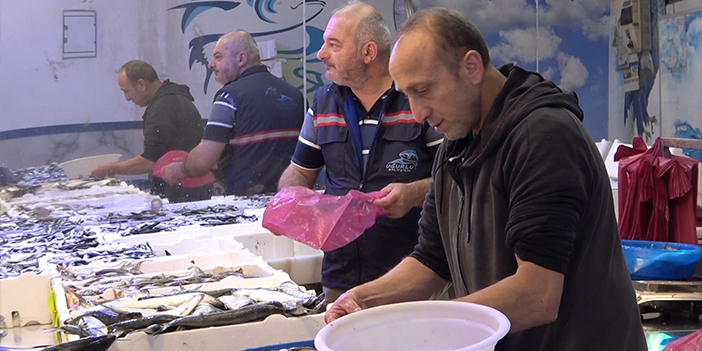 Balıkçıların tek umudu denizlerin soğuması! "Balık çeşitleri az"