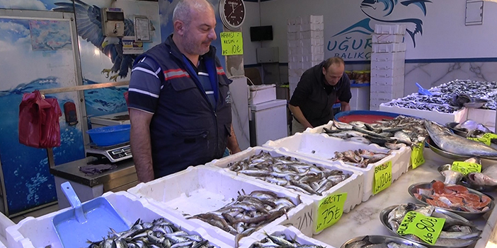 Balıkçıların tek umudu denizlerin soğuması! "Balık çeşitleri az"