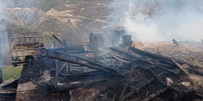 Gümüşhane'de ahırda yangın! 9 büyükbaş telef oldu 