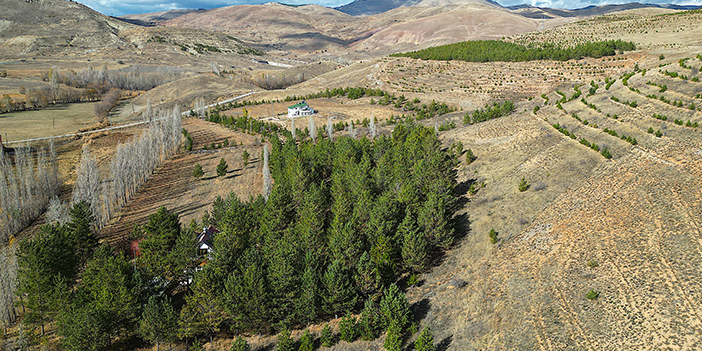 Bayburt'ta çorak araziyi ormana dönüştürdü 