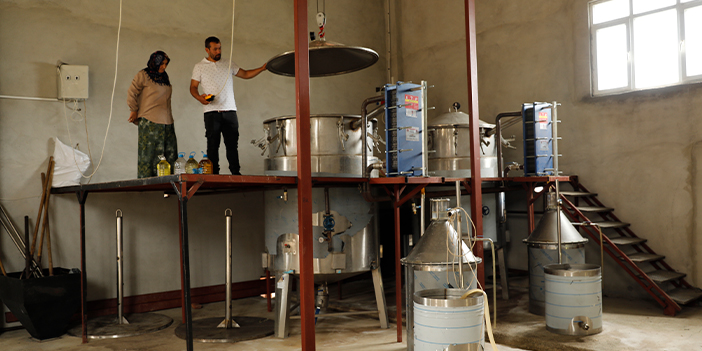 Samsun'da iki kardeş baba topraklarına döndü! Aromatik bitki üretiyorlar