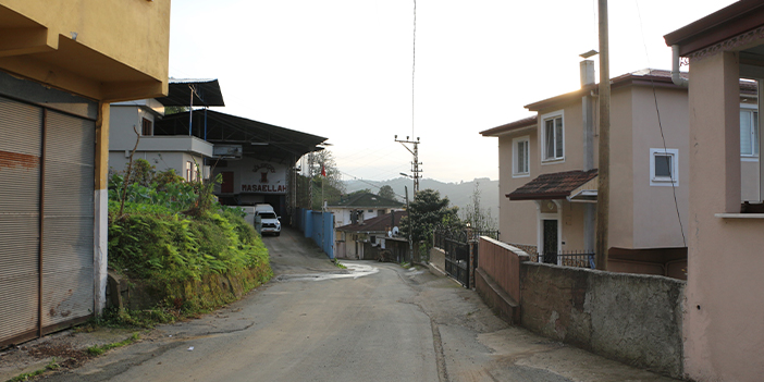 Rize'de köy halkının doğalgaz umudu! Referanduma gidiyorlar