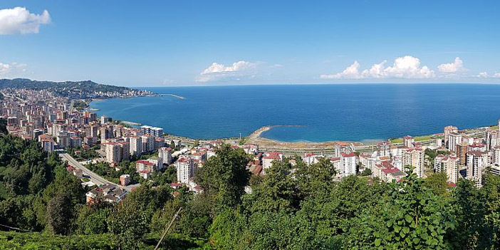 rize.jpg