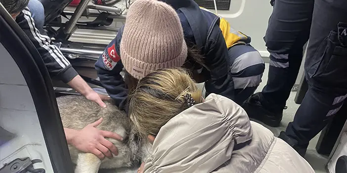 Artvin'de 3 katlı binada yangın! Yalnız yaşayan kadın evde mahsur kaldı 