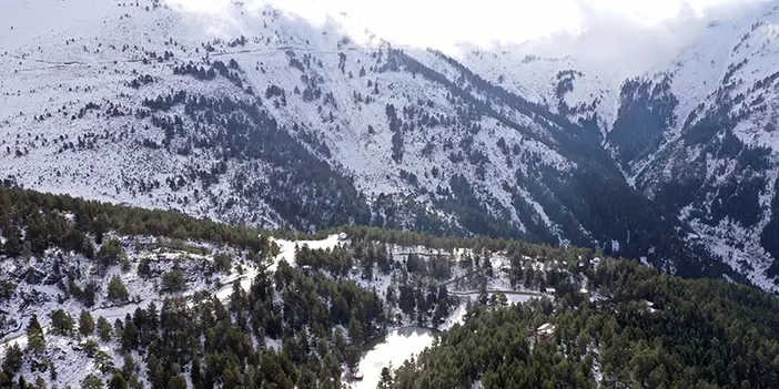 Limni Gölü kış mevsiminde yaban hayvanlarına ev sahipliği yapıyor