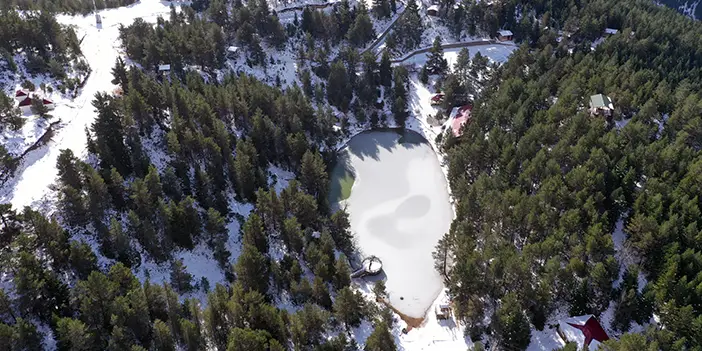 Limni Gölü kış mevsiminde yaban hayvanlarına ev sahipliği yapıyor