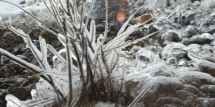 Erzincan ve Bayburt’ta soğuktan araç camları buz tuttu