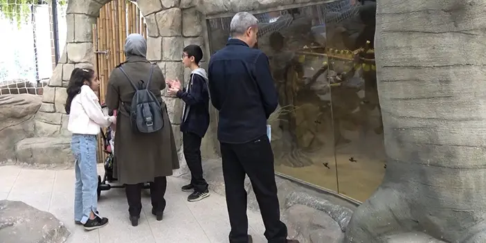 Trabzon'da bir ilk oldu! 20 çeşit kuş türüne ev sahipliği yapıyor 