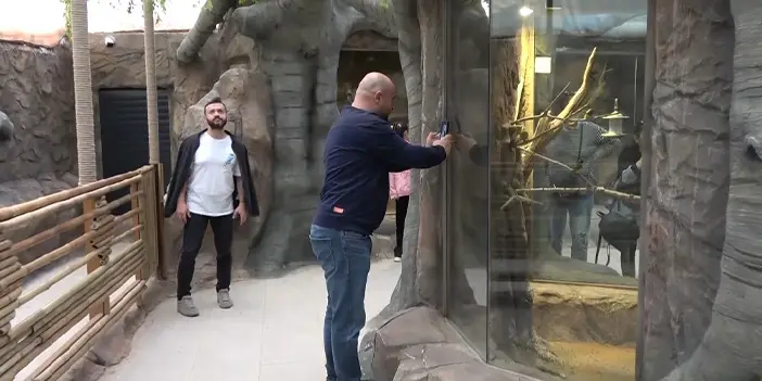 Trabzon'da bir ilk oldu! 20 çeşit kuş türüne ev sahipliği yapıyor 