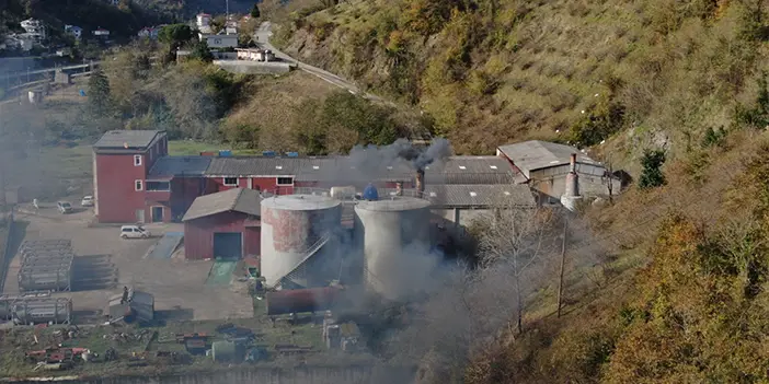 Trabzon'un bu ilçesinden hamsi kokusu hiç gitmiyor
