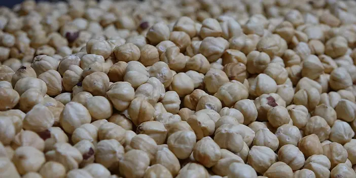 Dereköylü:"Fındık bölgesiyiz ancak halkımız fındığın randımanı hakkında yeterli bilgiye sahip değil"