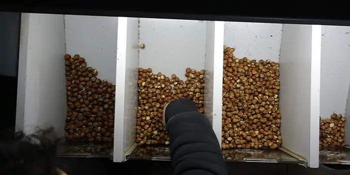 Dereköylü:"Fındık bölgesiyiz ancak halkımız fındığın randımanı hakkında yeterli bilgiye sahip değil"