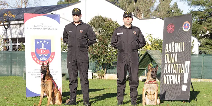 Duman ve Limon! Trabzon'da uyuşturucu avcısı kahraman köpekler