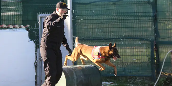 Duman ve Limon! Trabzon'da uyuşturucu avcısı kahraman köpekler