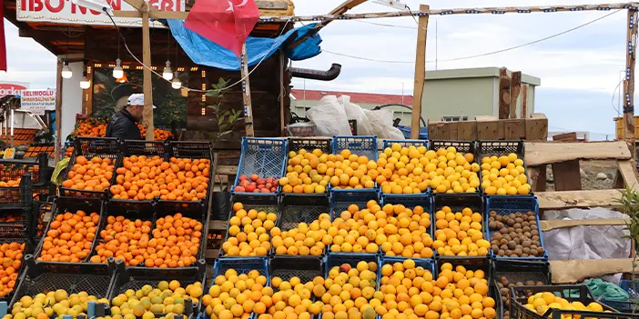 Rize'nin Derepazarı mandalinasında hasat iyi, satışlar düşük