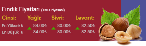 findik-fiyatlari.jpg