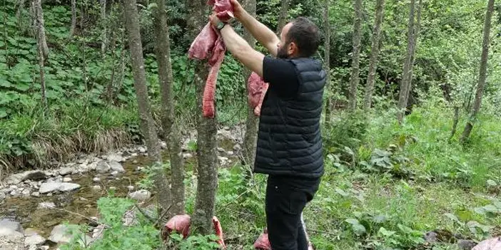 "KTÜ uzmanından uyarı! "Yaban hayvanlarına bilinçsiz yemleme tehlikesi"
