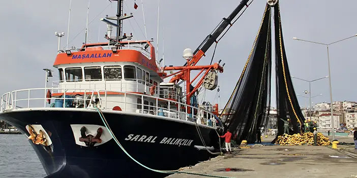 Sinop'ta hamsinin göç etmesi balıkçılara erken paydos ettirdi!