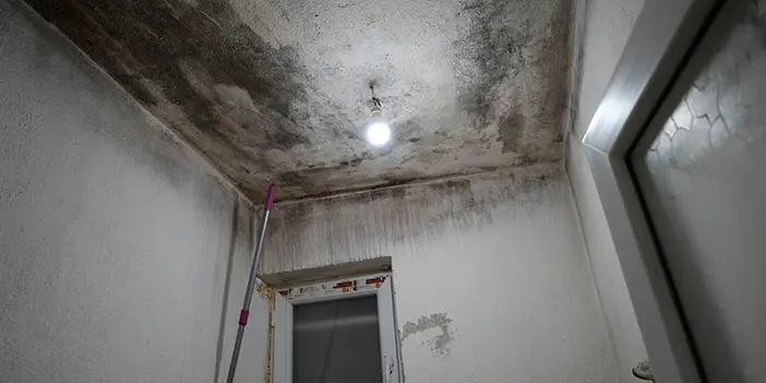 Gümüşhane'de bu ailenin evlerine dolan su kabusları oldu