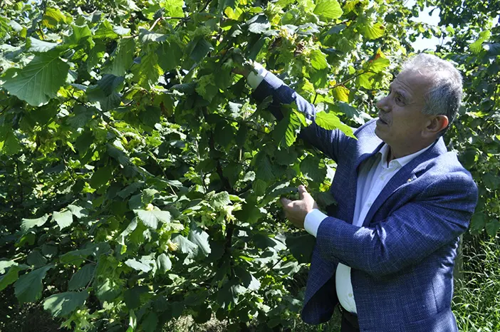 findikta-sorun-yaslilik-ttb-baskani-ergan-bahcelerle-birlikte-ureticileri-de-genclestirmeliyiz-002.webp