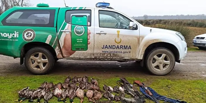 Binlerce sülün Trabzon'da doğaya bırakıldı! Kurallara uymayan avcıya ceza kesildi